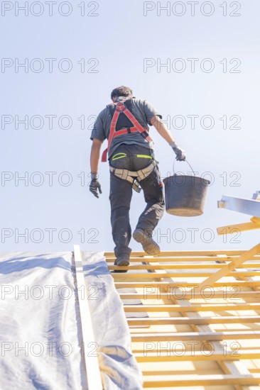 Construction worker with safety belt carrying a bucket on a roof, roof renovation, house construction, Pforzheim, Germany