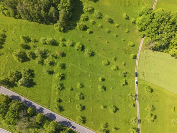 Aerial view of a tree-lined meadow next to a road, orchards, compensation project for the Hermann Hesse railway to promote endangered species, Althengstett, Germany