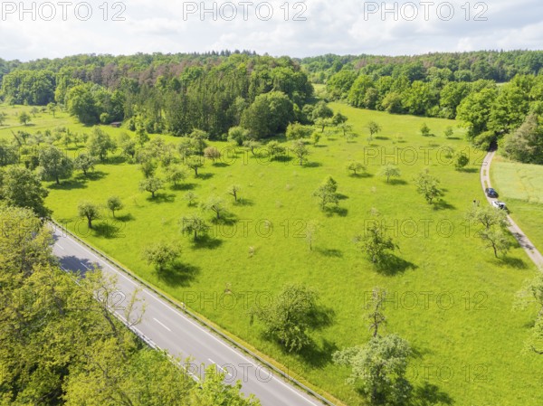 Green landscape with trees next to a road in spring, orchards, compensation project for Hermann Hesse railway to promote endangered species, Althengstett, Germany