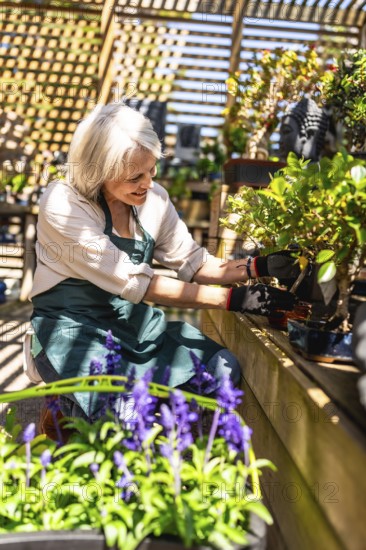 Happy gardener pruning a bonsai tree in a sunlit greenhouse, surrounded by vibrant plants and flowers, radiating joy and tranquility