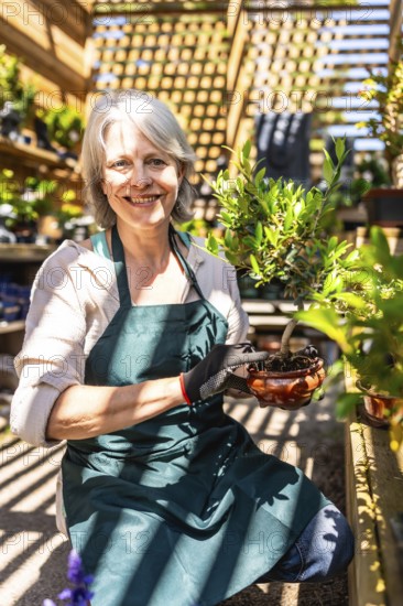 Smiling senior gardener woman wearing gloves and apron holding bonsai plant while working in greenhouse