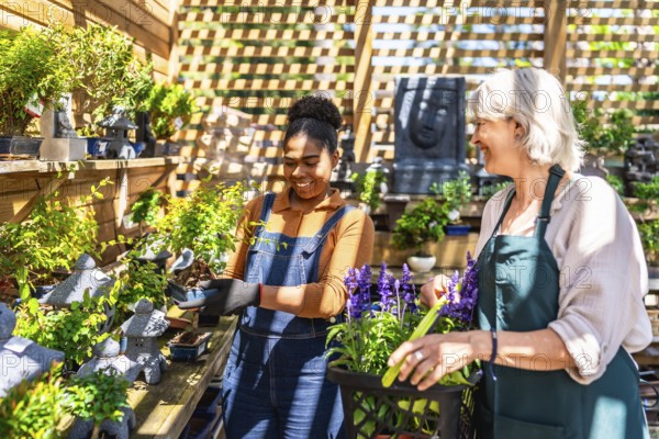 Two happy female garden center workers taking care of bonsai trees and lavender plants in a greenhouse