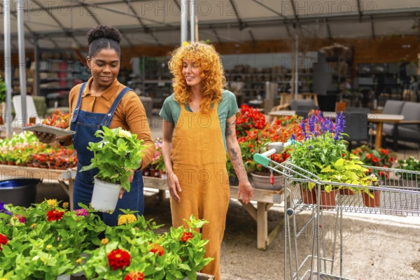 Two women working in a garden center are choosing plants and flowers for display in the greenhouse