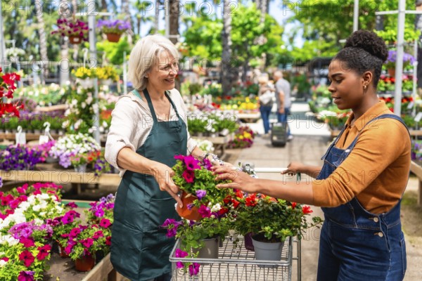 Senior florist helping young customer choosing blooming flowers in garden center, pushing a shopping cart