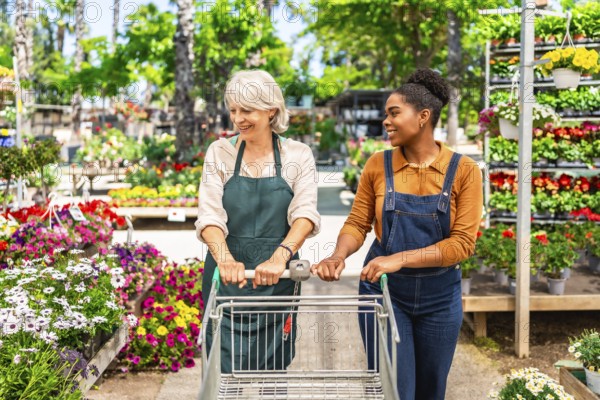 Two female garden center workers pushing an empty shopping cart between rows of colorful potted flowers