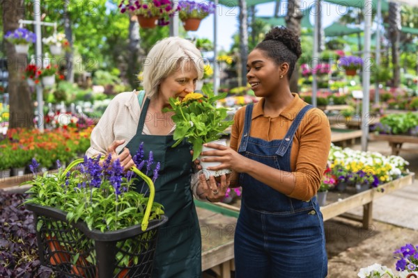 Senior woman smelling flower offered by young gardener in greenhouse, surrounded by colorful plants
