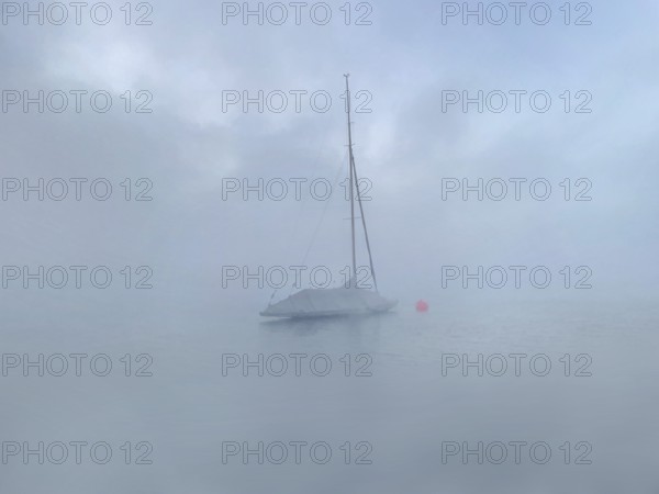 Sailing boat on Lake Starnberg with fog, Bavaria, Germany