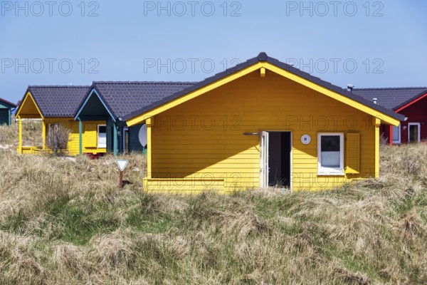 Colourful bungalows, holiday homes, wooden houses, blue sky, dune grass, dune, offshore island of Heligoland, Schleswig-Holstein, Germany