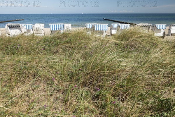 Beach chairs, Baltic Sea, Baltic seaside resort, Kühlungsborn, Rostock district, Mecklenburg-Vorpommern, Germany
