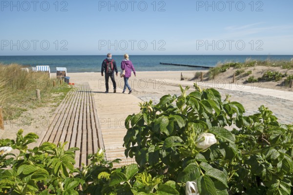 Beach access, beach runner, beach chairs, beach, Baltic Sea, Baltic seaside resort, Kühlungsborn, Rostock district, Mecklenburg-Western Pomerania, Germany