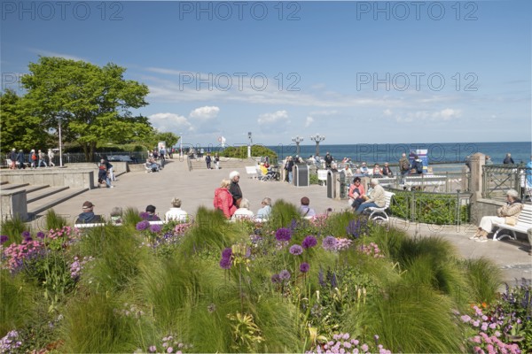 Flowers, pier forecourt, pier, Kühlunsborn Ost, Baltic Sea, Baltic Sea resort, Kühlungsborn, Rostock district, Mecklenburg-Western Pomerania, Germany