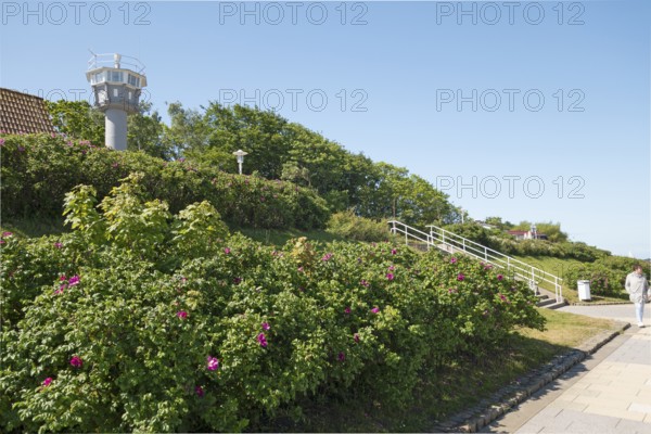 Border observation tower, Ostseeallee, Kühlunsborn Ost, Baltic Sea, Baltic Sea resort, Kühlungsborn, Rostock district, Mecklenburg-Western Pomerania, Germany