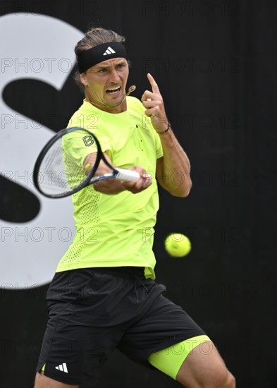 Alexander Zverev GER, Action, Tennis, ATP 250, BOSS Open 2025, Stuttgart, Baden-Württemberg, Germany
