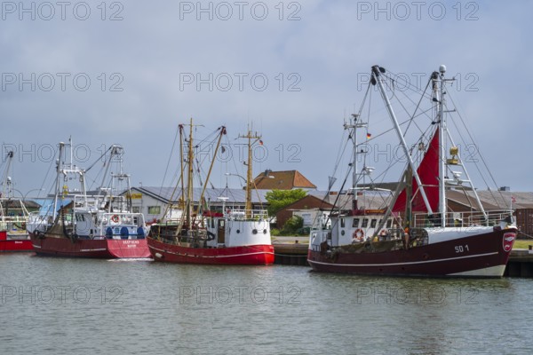Fishing boats in the fishing harbour, Büsum, North Sea, Schleswig-Holstein, Germany