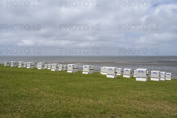 Beach chairs on the green beach, clouds in the sky, Büsum, North Sea, Schleswig-Holstein, Germany