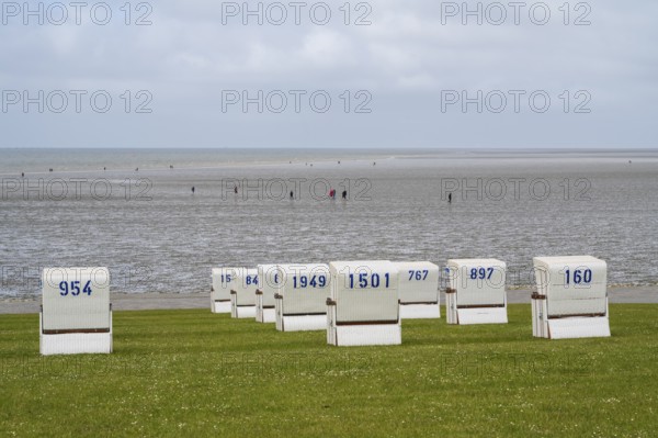 Beach chairs on the green beach, hiker in the mudflats, Büsum, North Sea, Schleswig-Holstein, Germany