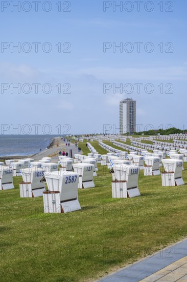 Beach chairs on the green beach, high-rise building, Büsum, North Sea, Schleswig-Holstein, Germany