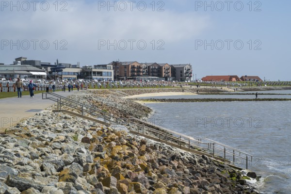 Coast and green beach, view of town, Büsum, North Sea, Schleswig-Holstein, Germany