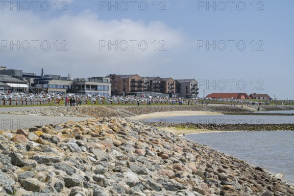 Coast and green beach, centre, Büsum, North Sea, Schleswig-Holstein, Germany