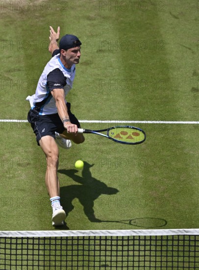 Marton Fucsovics HUN Action Tennis, ATP 250, BOSS Open 2025, Stuttgart, Baden-Württemberg, Germany