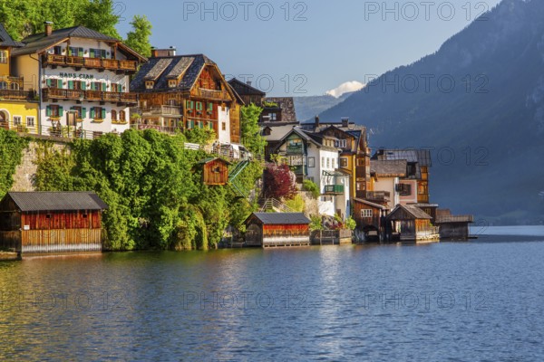 Houses on the steep bank above the lake, Hallstatt, Lake Hallstatt, UNESCO World Heritage Site, Salzkammergut, Upper Austria, Austria