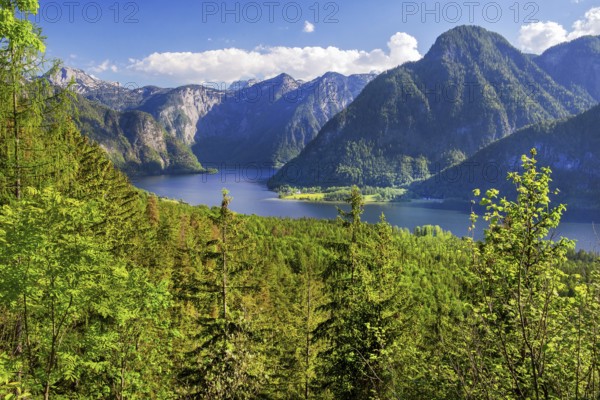 Panoramic view of the lake and the Dachstein foothills, Bad Goisern, Lake Hallstatt, UNESCO World Heritage Site, Salzkammergut, Upper Austria, Austria