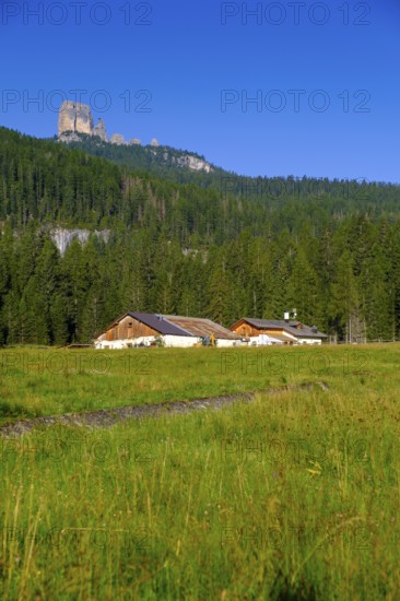 Peziè de Parù on the way to Passo Giau, Giau Pass, north side, behind Cinque Torri, Dolomites, Veneto, Italy