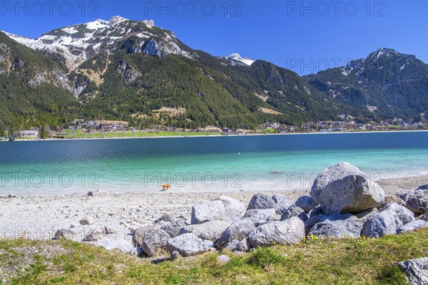 Lakeshore with bright water colours, Pertisau, Achensee, Tyrolean Alps, Tyrol, Austria