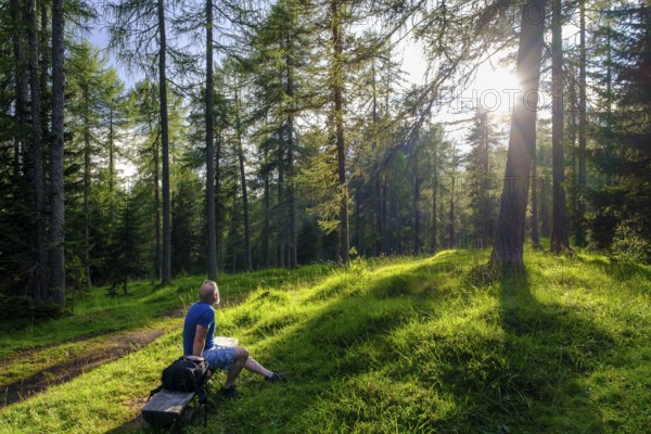 Larch meadows, Rifugio Malga Lareto, Larieto, Cortina d'Ampezzo, Dolomites, Veneto, Italy