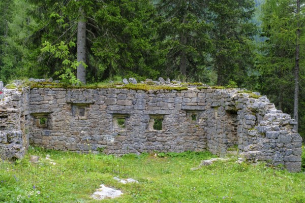 Remains of old defence walls, First World War, on the way to Rifugio Ra Stua, Ra Stua Alm, Valon Scuro, near Cortina d'Ampezzo, Dolomites, Trentino, Italy