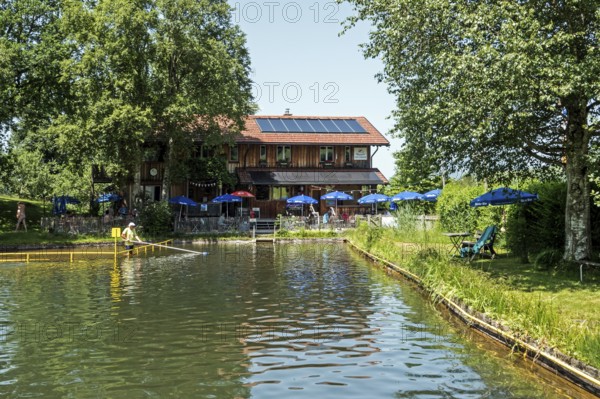 Natural outdoor pool, moor swimming pool, Moorstüble at the back, Reichenbach, near Oberstdorf, Oberallgäu, Bavaria, Germany