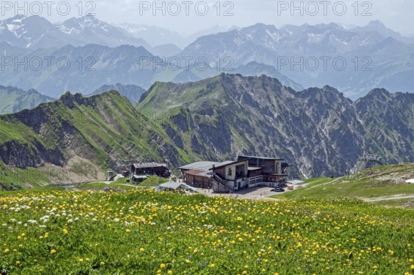 Edmund-Probst-Haus and Höfatsblick mountain station of the Nebelhornbahn, mountains of the Allgäu Alps in the background, yellow flowering meadow in the foreground, Oberstdorf, Oberallgäu, Bavaria, Germany