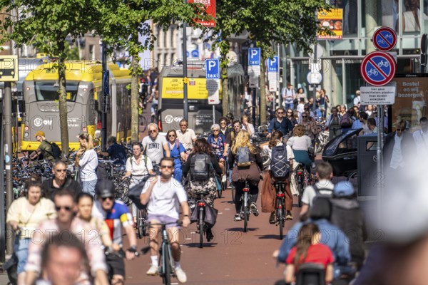 Central cycle path along the Vredenburg, in the city centre of Utrecht, lanes for pedestrians, cyclists and local traffic are separated, dense traffic, no car/truck traffic, Utrecht, Netherlands