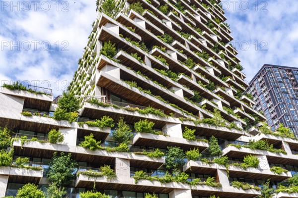 Wonderwoods residential tower, one of 2 green buildings, in Utrecht in the new Healthy Urban Quarter, at the central station, 105 metres high with 30 floors, Tower II, over 360 trees and over 9600 shrubs and flowering plants native to the region, all irrigated with collected rainwater, sponge city principle and monitored with sensors, Utrecht, Netherlands