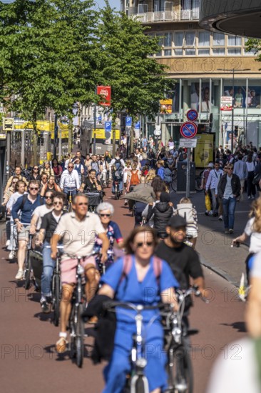 Central cycle path along the Vredenburg, in the city centre of Utrecht, lanes for pedestrians, cyclists and local traffic are separated, dense traffic, no car/truck traffic, Utrecht, Netherlands