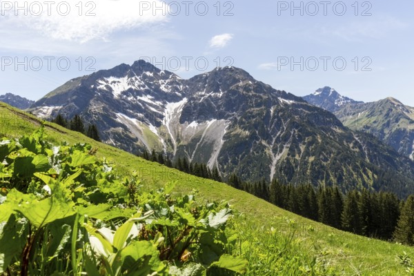 Alpine landscape with snow-covered mountain and green foreground