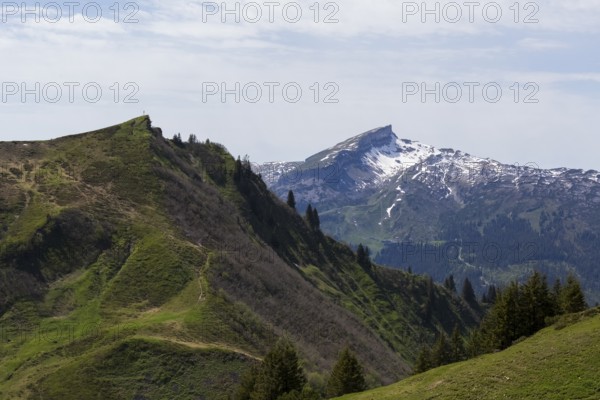 Snow-covered mountain range with spectacular slopes and forests with a view of the Kuhgehrenspitze in the foreground and the Hohe Ifen in the background, Kleinwalsertal, Austria