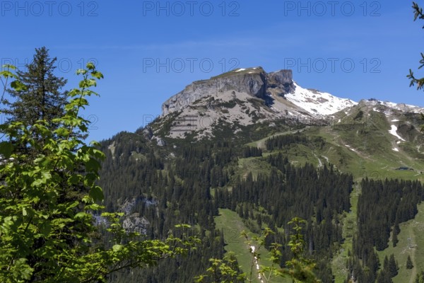 Striking mountain range of the Hohe Ifen and its Gottesacker plateau with snow in spring, surrounded by forests and clear skies in Kleinwalsertal, Austria