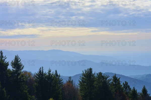 Misty mountain view over a forest with slightly overcast sky, Kandel, Waldkirch, Black Forest, Baden-Württemberg, Germany