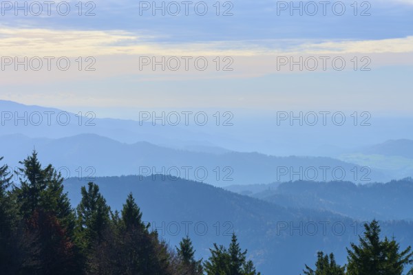 Wide mountain landscape with forest in the foreground and hazy horizon, Kandel, Waldkirch, Black Forest, Baden-Württemberg, Germany