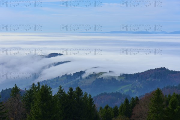 Forests and hills rise through dense fog under a clear sky, Schauinsland, Freiburg im Breisgau, Black Forest, Baden-Württemberg, Germany