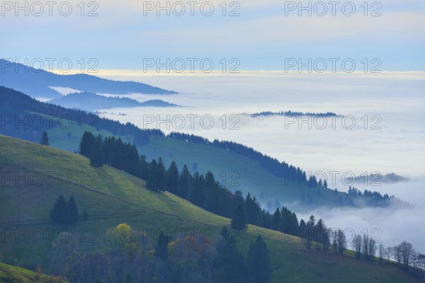 Fog-covered hills and forests under a blue sky, Schauinsland, Freiburg im Breisgau, Black Forest, Baden-Württemberg, Germany