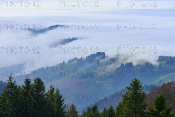 Hills and forests rise out of dense, white fog, Schauinsland, Freiburg im Breisgau, Black Forest, Baden-Württemberg, Germany