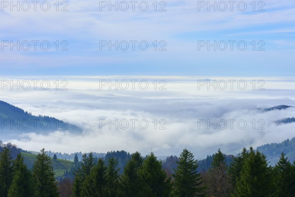 Dense forests with views of misty valleys and open skies, Schauinsland, Freiburg im Breisgau, Black Forest, Baden-Württemberg, Germany