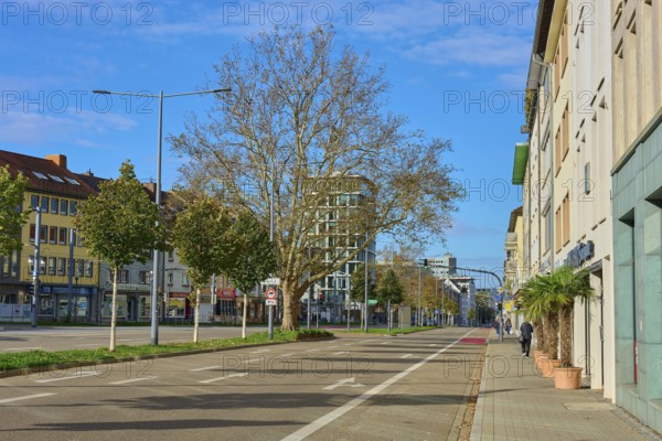 Modern street with trees, flanked by buildings, blue sky, Freiburg im Breisgau, Black Forest, Baden-Württemberg, Germany