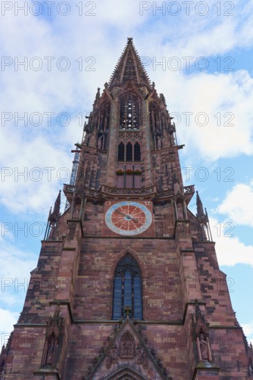 Freiburg Minster, Gothic church tower made of red stone with clock in front of a blue sky, Freiburg im Breisgau, Black Forest, Baden-Württemberg, Germany