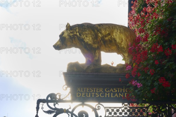 A golden bear sculpture above a historic sign, Germany's oldest inn, Freiburg im Breisgau, Black Forest, Baden-Württemberg, Germany
