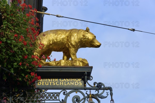 Golden bear sculpture and sign, Germany's oldest inn, Freiburg im Breisgau, Black Forest, Baden-Württemberg, Germany