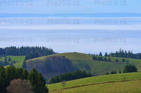 Green hills with trees under a blue sky with clouds, Schauinsland, Freiburg im Breisgau, Black Forest, Baden-Württemberg, Germany