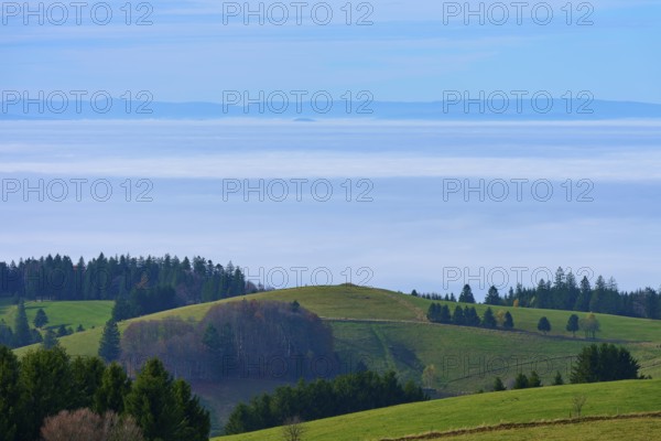 Green hills and groups of trees rise in front of a misty horizon, Schauinsland, Freiburg im Breisgau, Black Forest, Baden-Württemberg, Germany